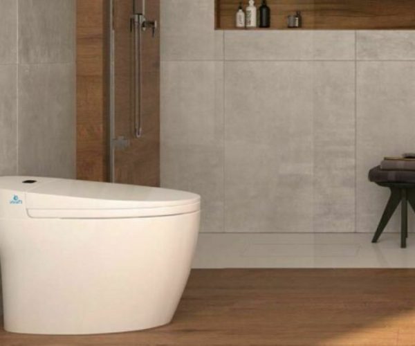 Japanese Bidet